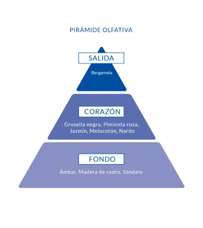 Aire De Sevilla - Eau De Toilette Pour Femme 150ml - Chicca Bonita 2 Aire De Sevilla - Eau De Toilette Pour Femme 150ml - Chicca Bonita – Image 2