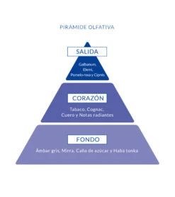 Poseidon - Pack D'Eau De Toilette Pour Homme - Poseidon Deep -Beauté Produits Magasin aire de sevilla pack de eau de toilette para hombre 150ml after shave 150ml gel de ducha 150 ml poseidon deep 3 65253