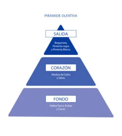 Poseidon - Pack D'Eau De Toilette Pour Homme - Poseidon Homme -Beauté Produits Magasin aire de sevilla pack de eau de toilette para hombre 150ml after shave 150ml gel de ducha 150 ml poseidon hombre 3 65271