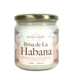 Book And Glow - *Wanderlust* - Bougie De Soja - Brisa De La Habana