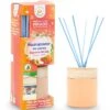 La Casa De Los Aromas - Mikado Neutralisant D'odeurs 100ml - Espaces Difficiles Fleur De Pêcher